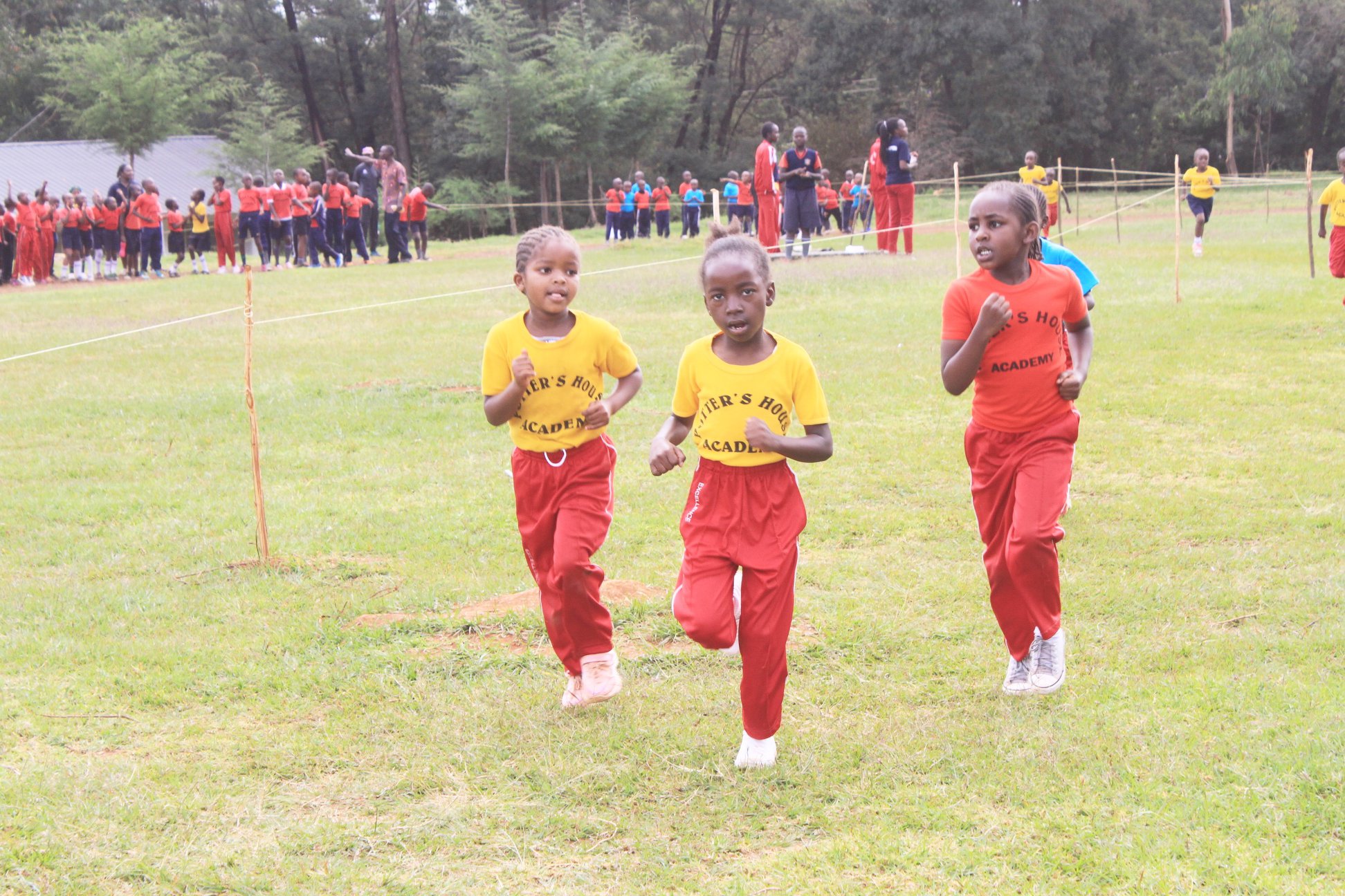 Potter's House Academy at Lloyd Youngman blog